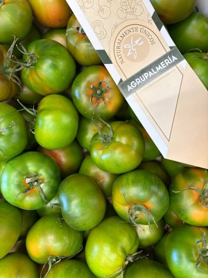 Foto Pomodoro Verdone Varietà Caramba Origine Spagna Marchio Agrupalmeria 2